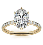 Oval Cut Moissanite Diamond Hidden Halo Bridal Ring Set