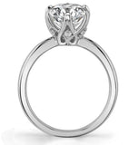 Moissanite Round Cut Hidden Accent Engagement Ring