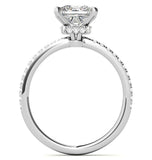 VVS1 Moissanite Princess Cut Hidden Accent Ring Set